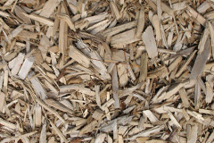 biomass boilers Littlegain